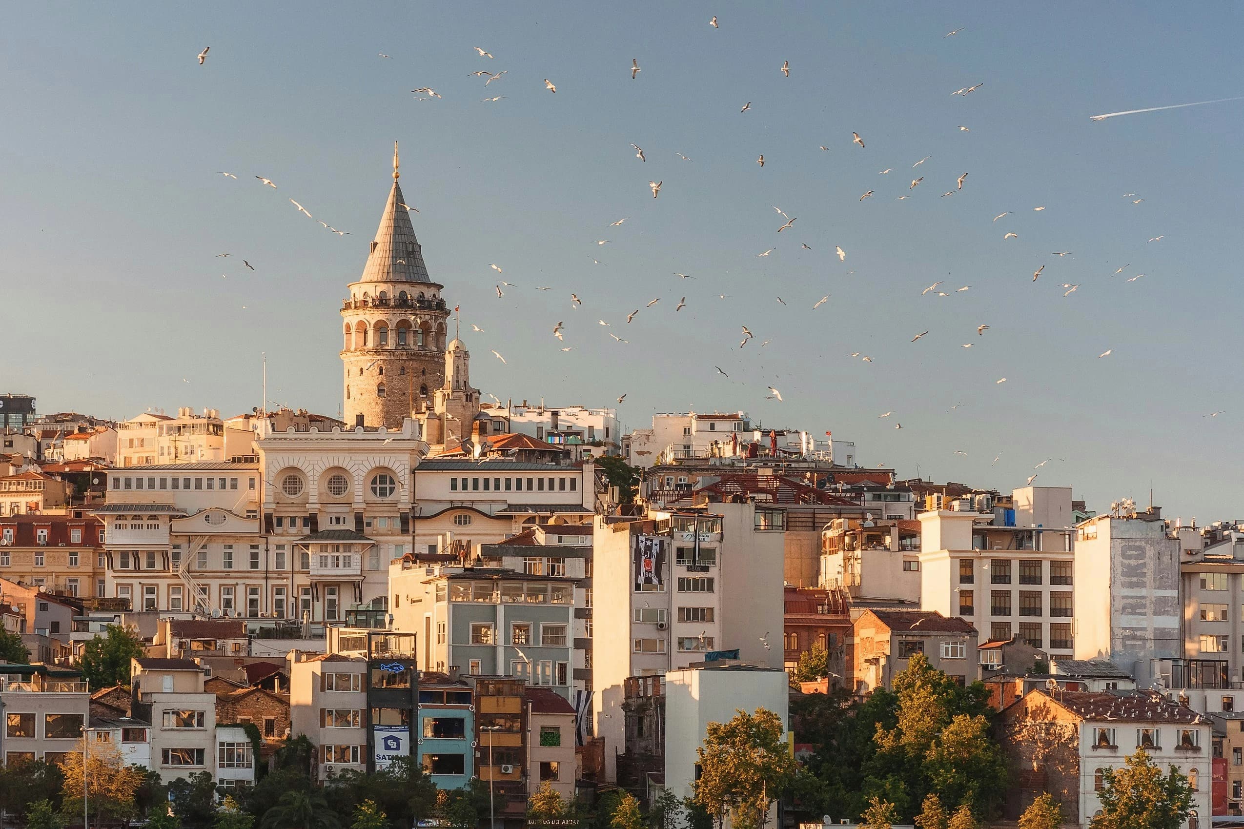 bg image of turkey